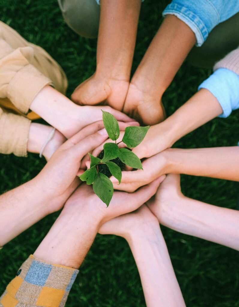 pexels-photo-5029919-5029919 Hands united around a plant symbolizing teamwork and eco-friendly efforts outdoors.